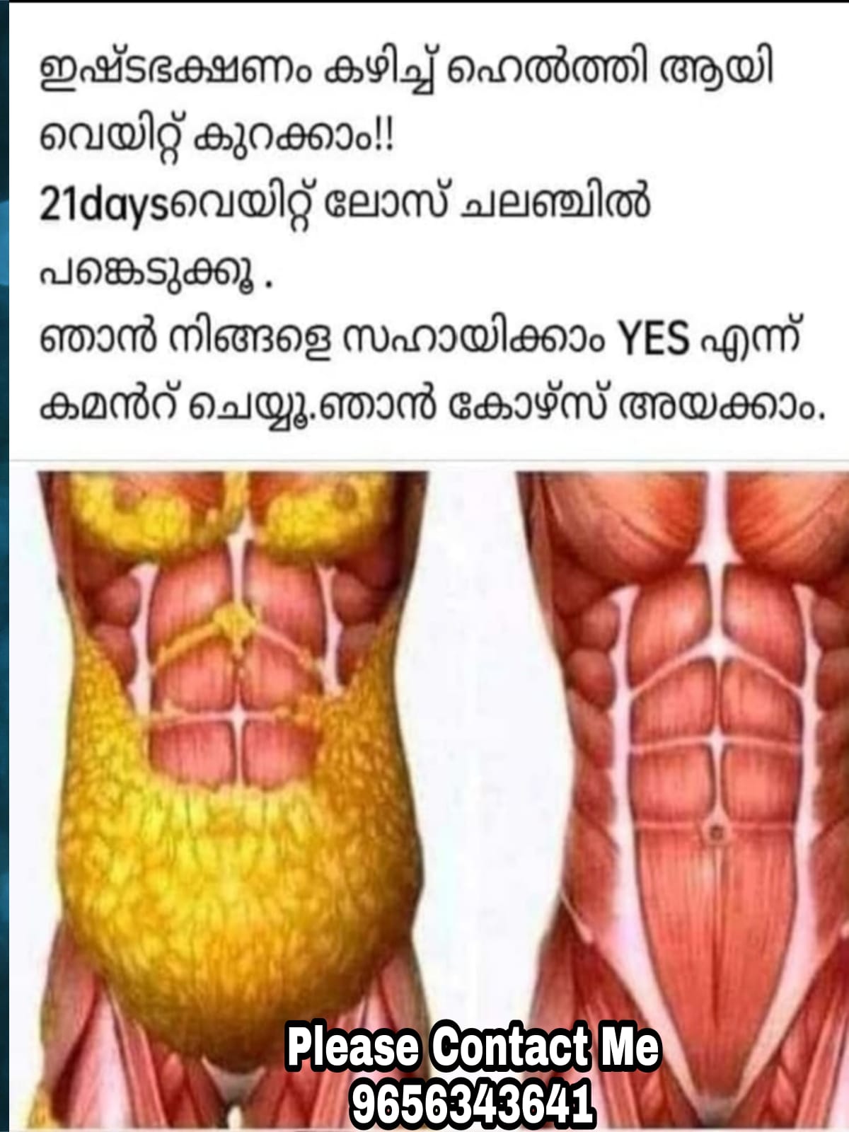 Neveed Wellness Coach